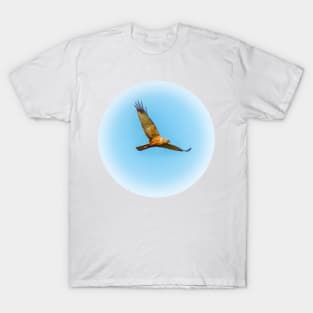 Flying harrier 2 T-Shirt